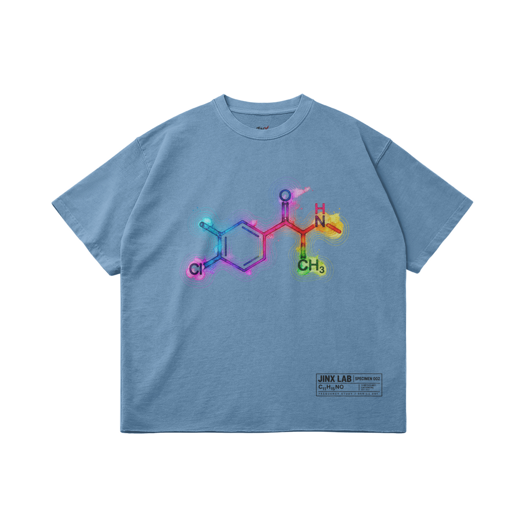 FREQUENCY STUDY – חולצת JINX IT בצבע Slate Blue עם גרפיקה קדמית